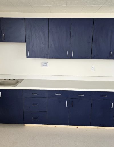 Verde Butterfly granite countertop